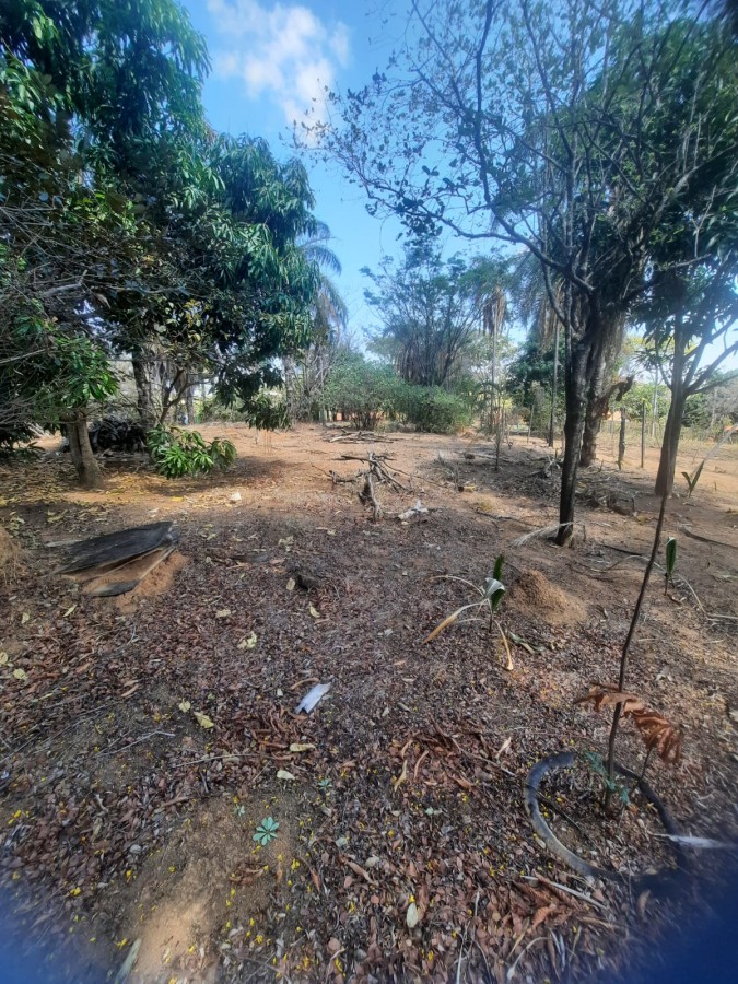 Chácara, 5000 m² - Foto 3