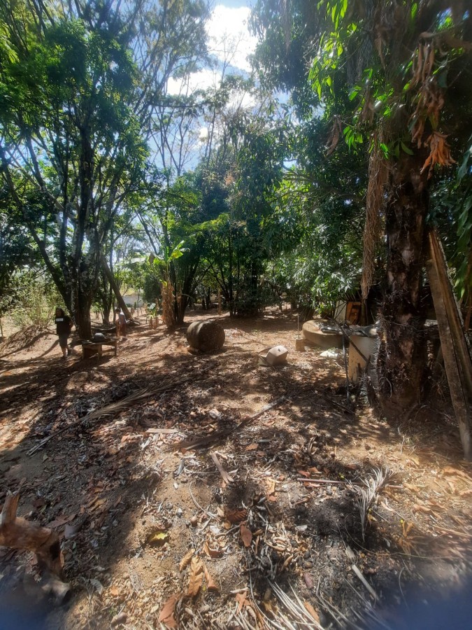 Chácara, 5000 m² - Foto 5