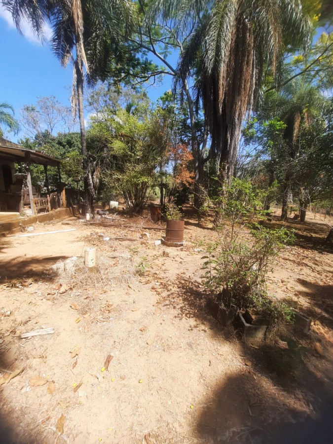 Chácara, 5000 m² - Foto 6