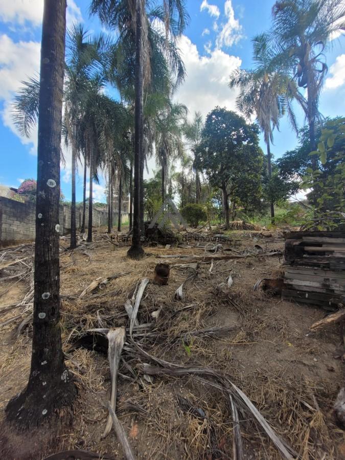 Terreno, 1000 m² - Foto 8