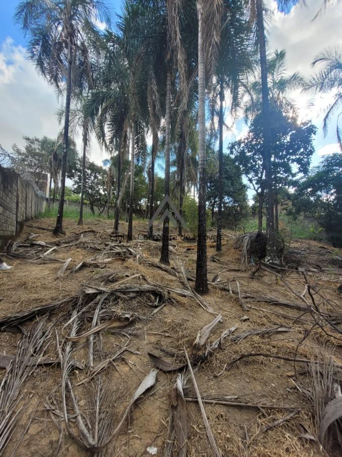 Terreno, 1000 m² - Foto 12