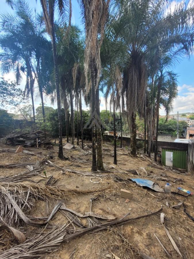 Terreno, 1000 m² - Foto 6